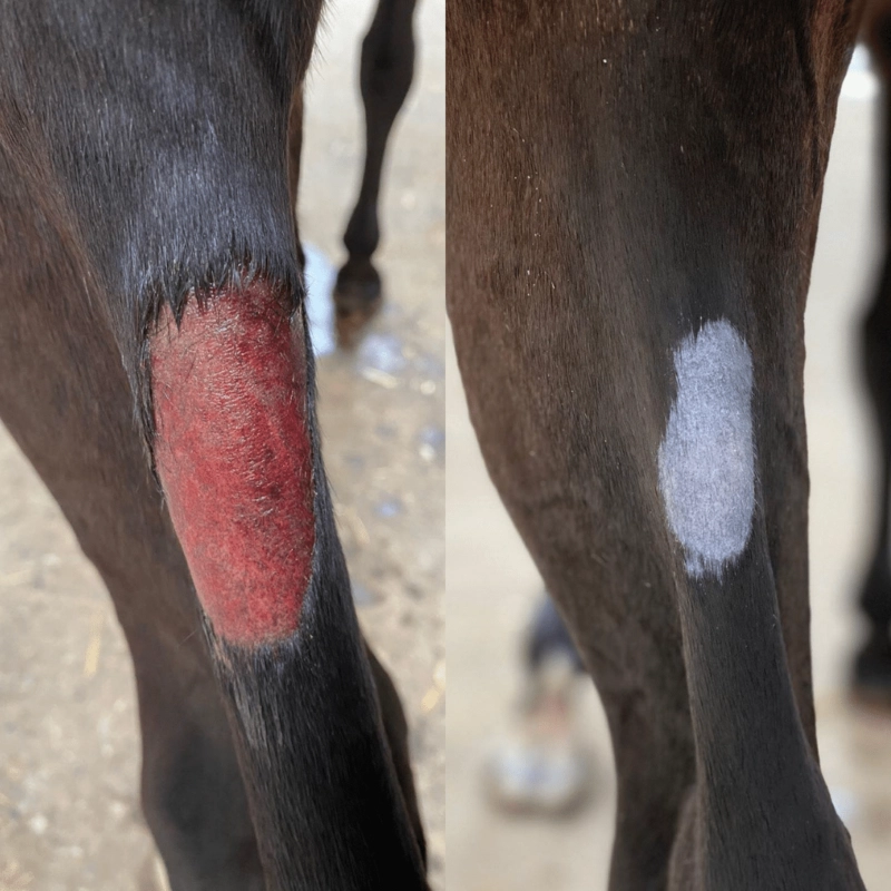 WOUND apply