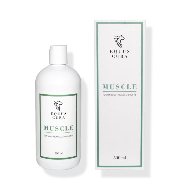 Muscle massage til hesten
